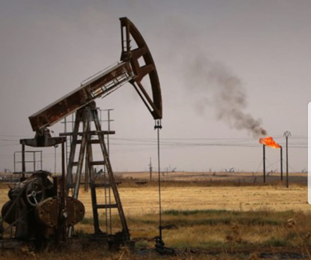 hyundai cars logo emblem